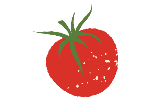 Organic Tomatoes image