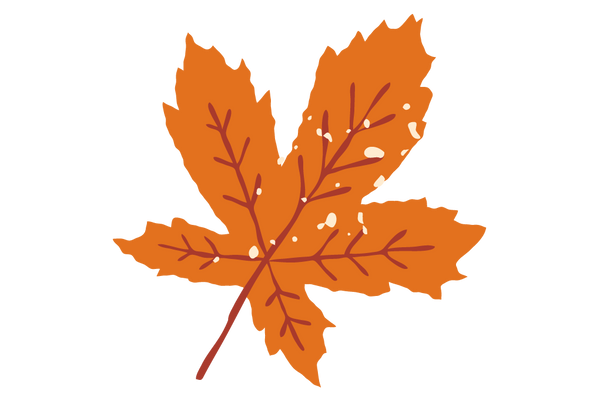 Organic Maple Syrup image
