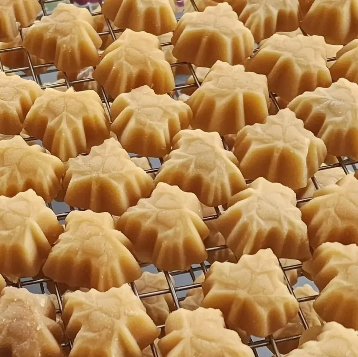 Rows of...